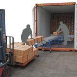 Heavy Duty Skate Wheel Expandable Conveyor